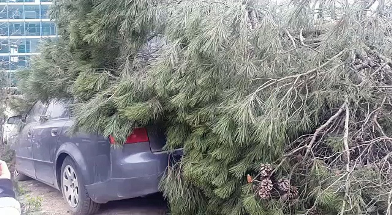 video-1521298979