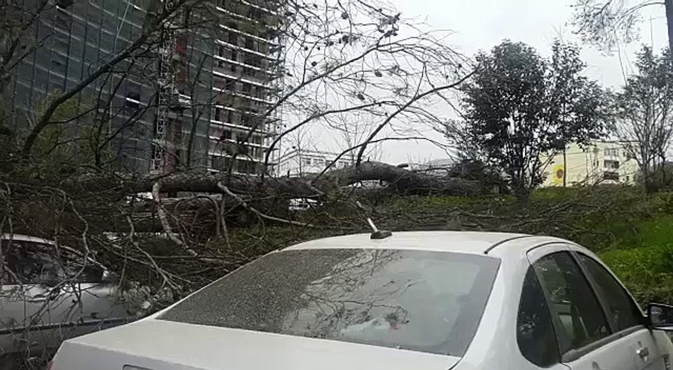 video-1521299013