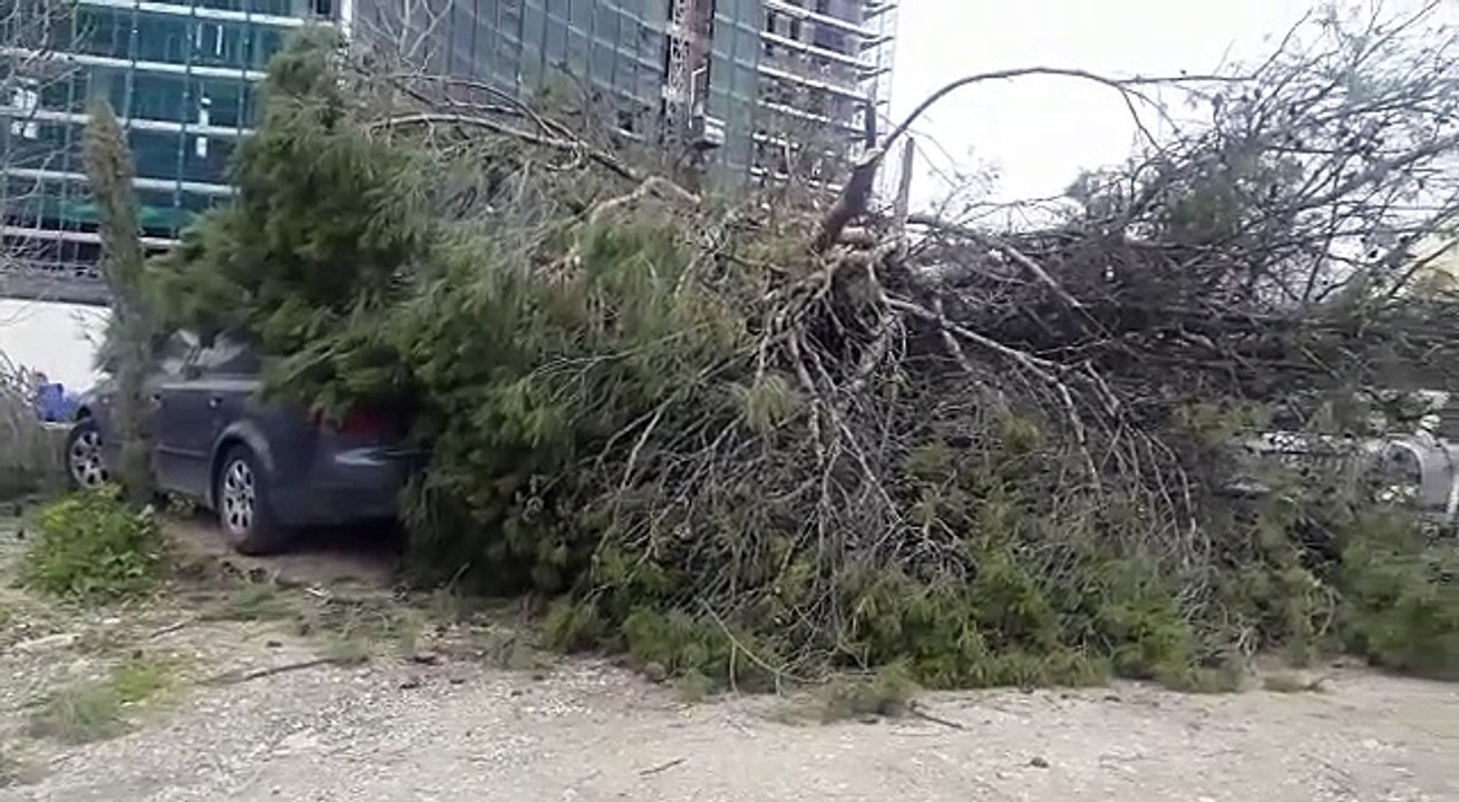 video-1521299035