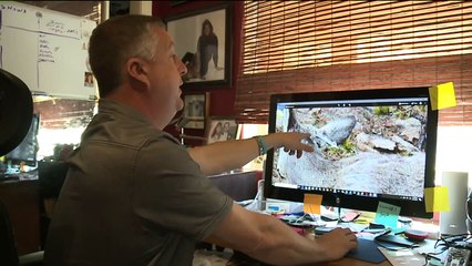 Multiple Deer Found in Colorado with Arrows Lodged in Their Heads