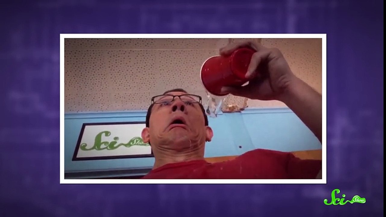 Why Do Things Look Darker When They're Wet SciShow