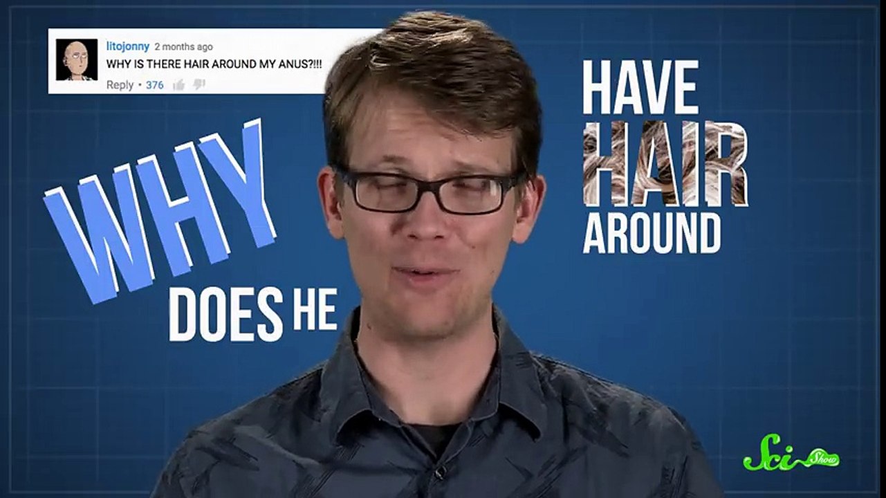 Why Do We Have Butt Hair SciShow