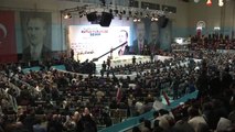 AK Parti Arnavutköy 6. Olağan İlçe Kongresi - AK Parti Grup Başkanvekili Muş - İstanbul