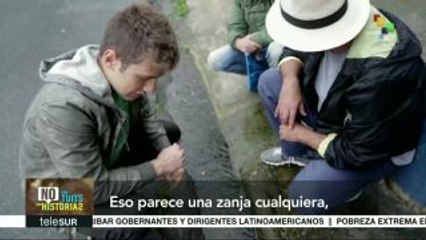 No son tuits, son historias: Relatos desde Argentina, México y Brasil