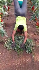 innovacion-创新-l'innovation-новшество