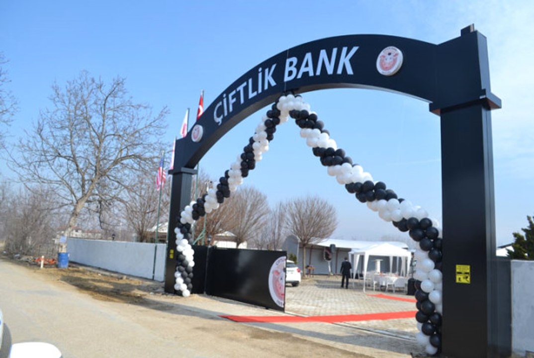 Çiftlik Bank Benzeri 11 Firmanın Daha Var Olduğu Ortaya Çıktı