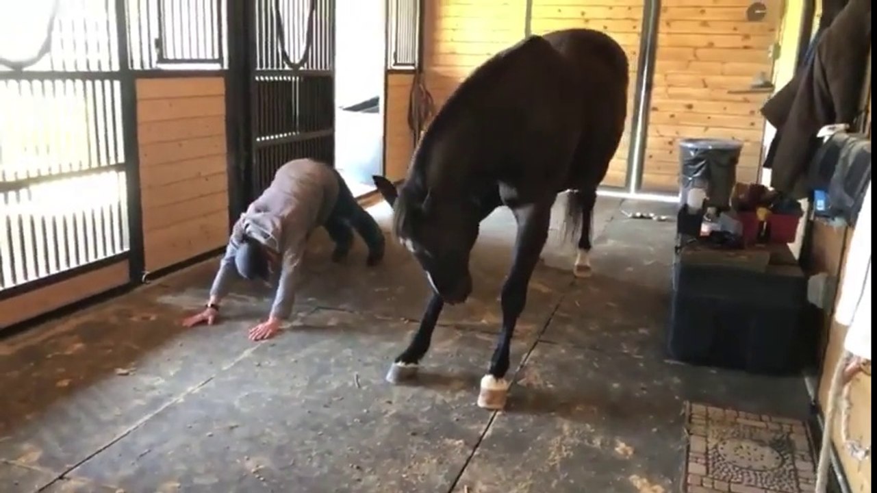 Ce cheval fait du Yoga avec son dresseur !