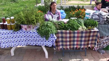 Ot şenliği yoğun ilgi gördü