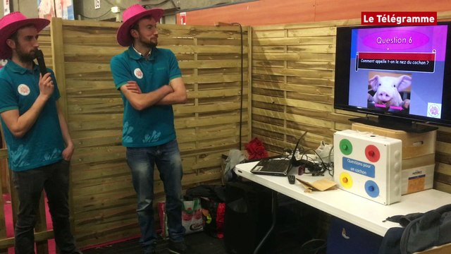 Morlaix. Agri Deiz : on retombe en enfance au festival agricole