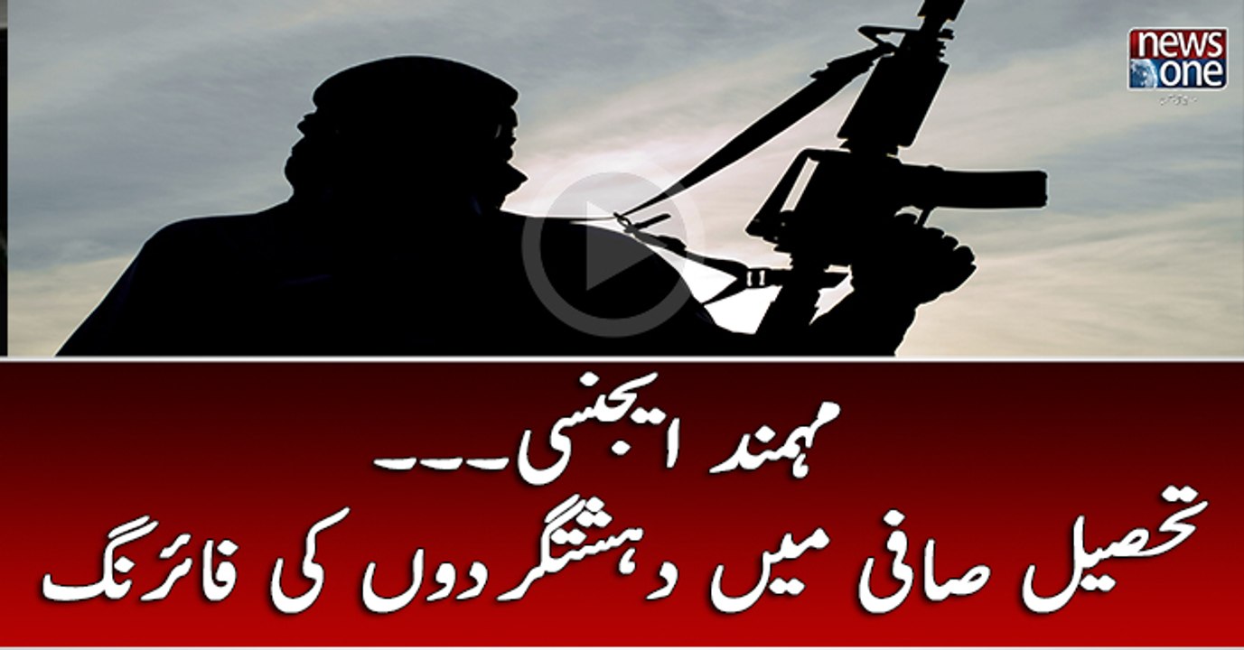 Mohmand Agency: Two polio workers  killed in firing of terrorists in Tehsil Safi