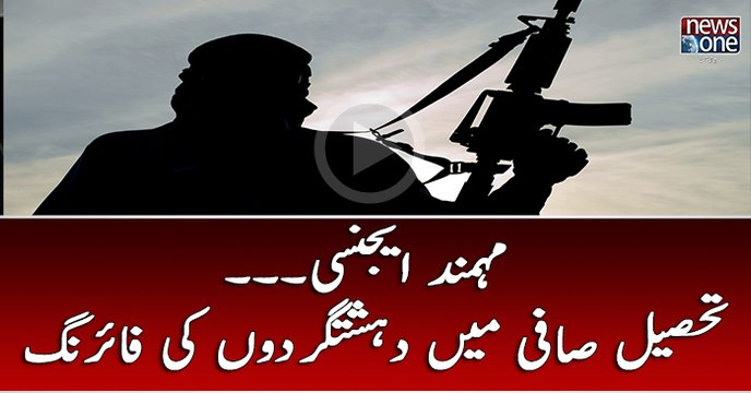 Mohmand Agency: Two polio workers killed in firing of terrorists in Tehsil Safi