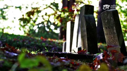 Страхът, който убива. Смърт и прераждане