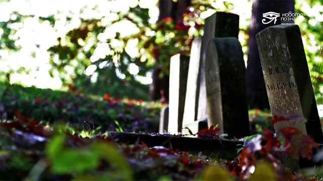 Страхът, който убива. Смърт и прераждане