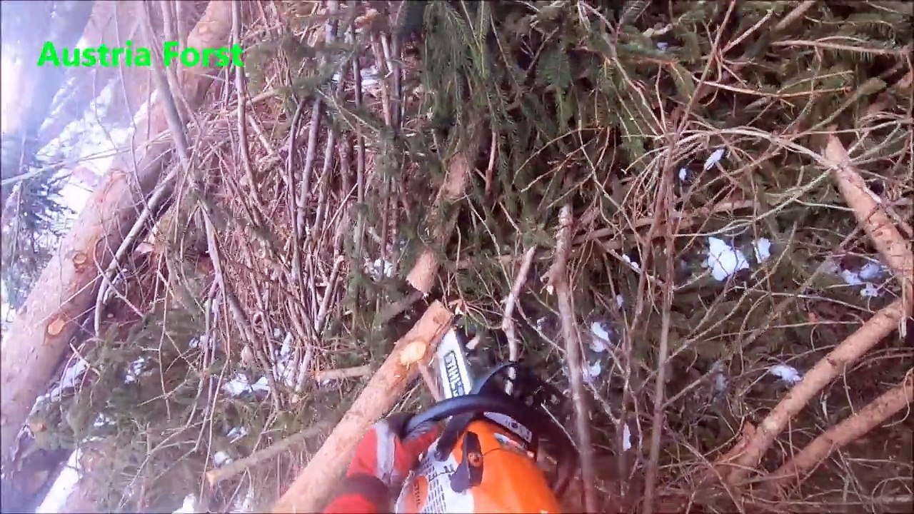 Ersten Tag mit der  Stihl MS 462 C M und dem neuen Binderberger Frontlader