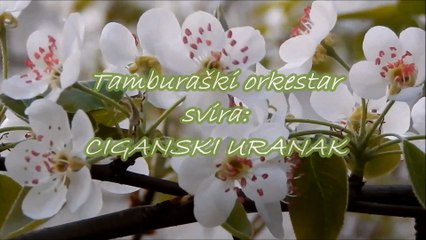 Tamburaški orkestar - Ciganski uranak - Gypsy reveille (instrumental)