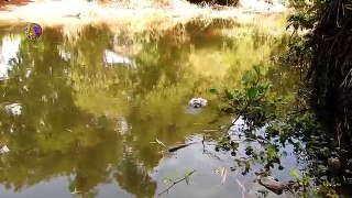 How To Fishing By Using RC Boat Coca Cola Bottle In Cambodia
