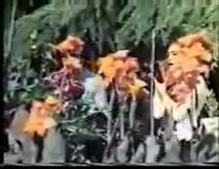 Ferdi Tayfur - Her şeyi bitirdik