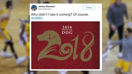 Dog Lovers Were The Real Winners In UMBC Upset Over Virginia