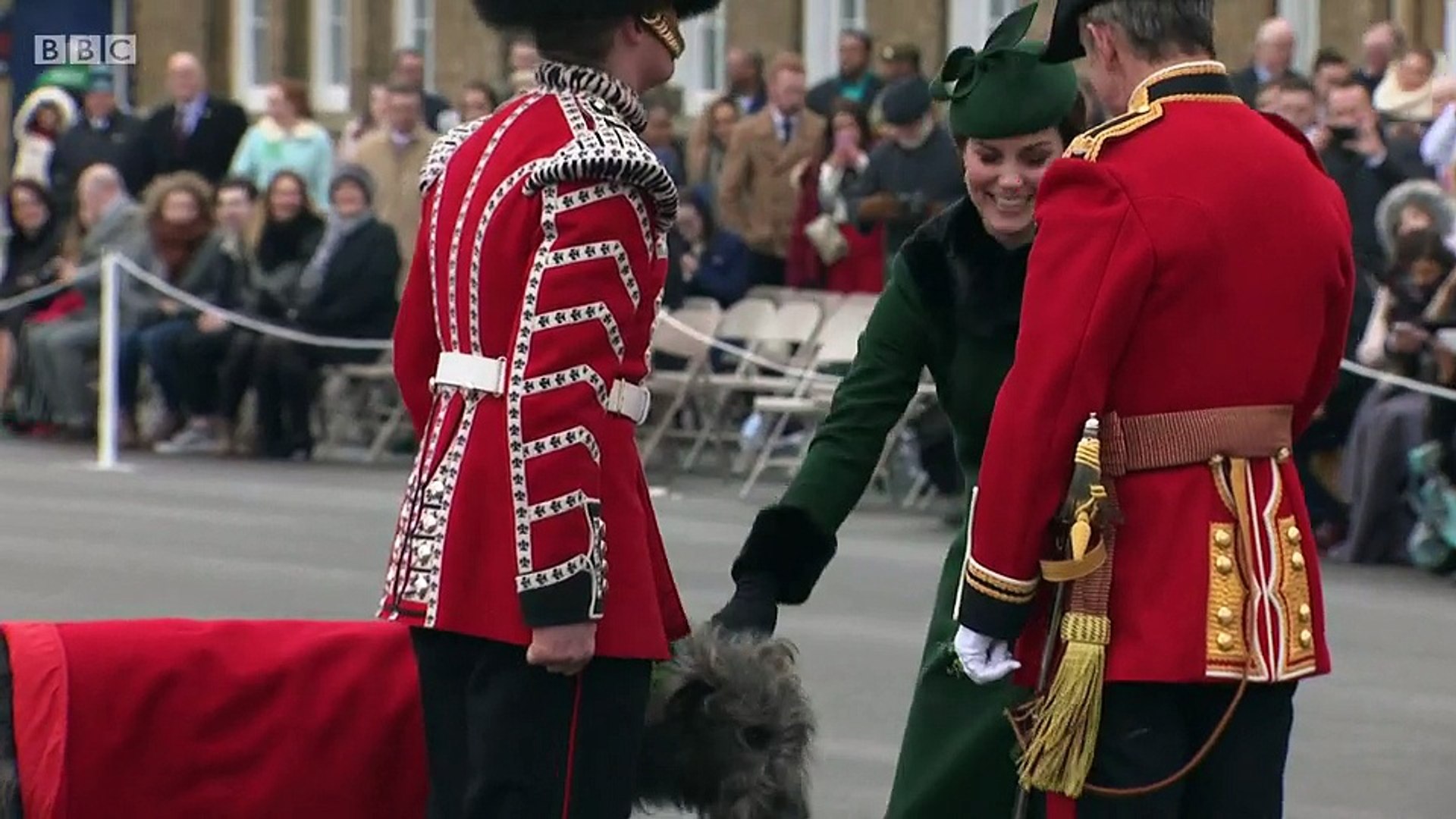 ⁣St Patrick's Day gets into swing