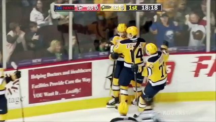 OHL Guelph Storm 4 at Erie Otters 6