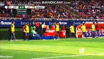 Guadalajara Chivas vs UANL Tigres