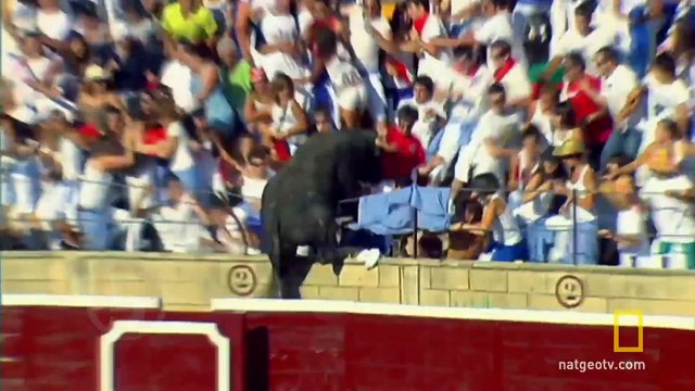 10 НАПАДЕНИЙ ЖИВОТНЫХ НА ЛЮДЕЙ, СНЯТЫЕ НА КАМЕРУ