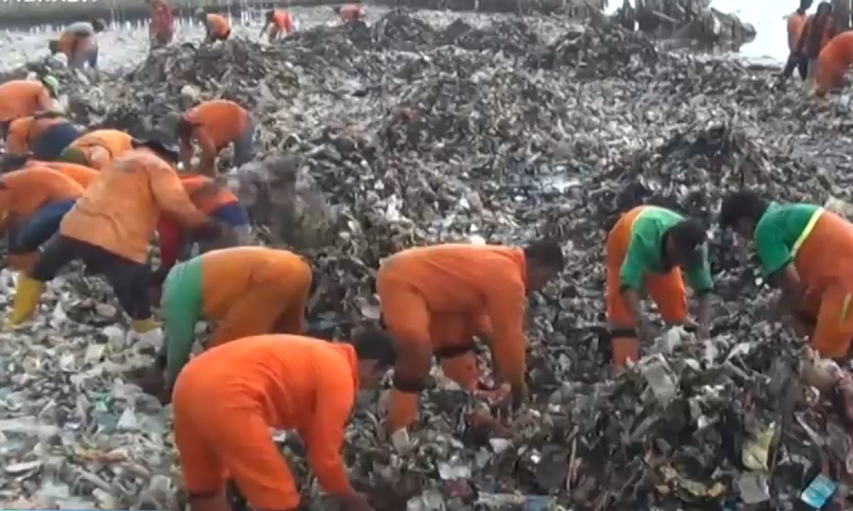 80 Petugas Mulai Bersihkan Lautan Sampah di Muara Angke