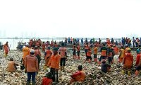 Pantai Muara Angke yang Penuh Sampah Akan Ditanami Mangrove