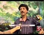 'Pet Paradise' in Namma Bengaluru - NEWS9