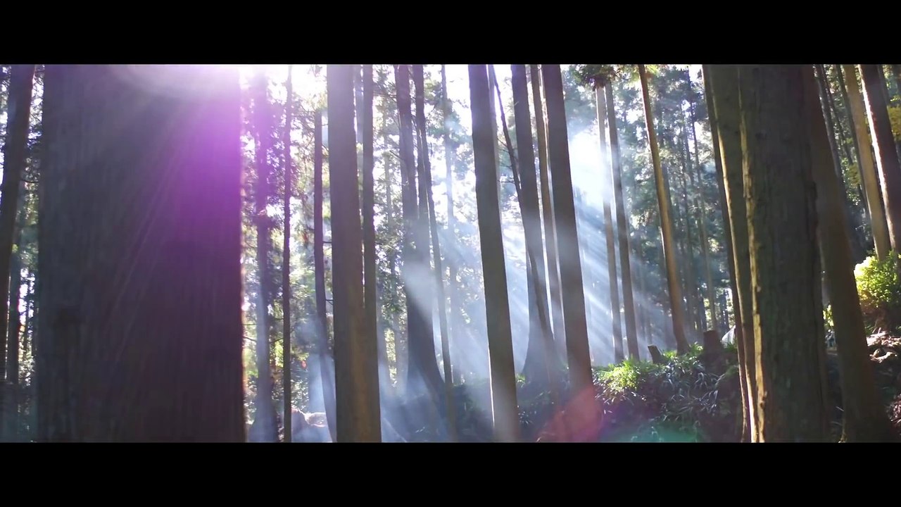 Vision Teaser VO