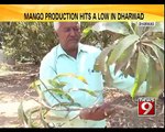 Dharwad Losing its Mango Trees to Summer - NEWS9