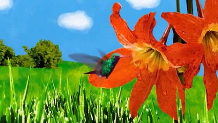 The Secret Life Of The American Teenager S01 E08 Your Cheatin Heart