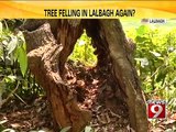 Lalbagh,9 trees market for felling - NEWS9