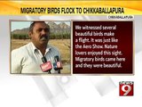 Migratory birds flock to Chikkaballapura - NEWS9