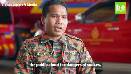 Yılan terbiyecisini kobra ısırdı