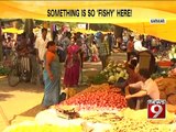 Karwar, something is so fishy here - NEWS9
