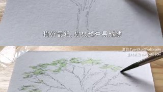 8分鐘學水彩速寫4種樹(水彩教學班)@屯門畫室 water color sketch 4 trees