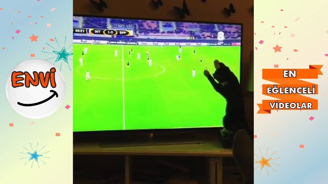 Mart Ayının En Komik Kedi Videoları Komik Kediler 2018