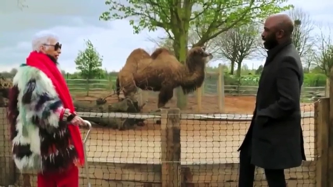 If You re Not in the Obit, Eat Breakfast  2017    Pt 02