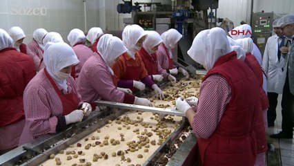 Bu kestane şekerleri 32 ülkeye ihraç ediyorlar