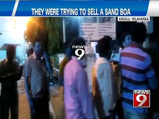 Yelahanka, they were trying to sell a sand boa- NEWS9