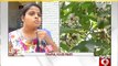 HSR Layout, first of it's kind moth outbreak in Bengaluru- NEWS9