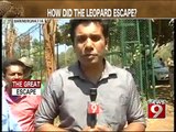 Bannerghatta, leopard escapes because cage was large? - NEWS9