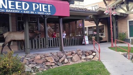 Fails You Missed: Did That Girl Fart? (March 2018) | FailArmy