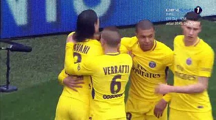 Angel Di Maria Goal - Nice 1-1 PSG 18-03-2018