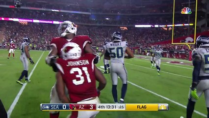 2016 - Johnson has run called back for offensive holding