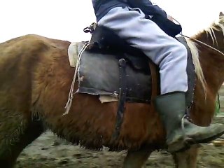 Video çocuklar bir ata biner the boys ride a horse видео мальчики катаются на лошади