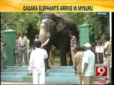 NEWS9: Dasara elephants arrive in Mysuru