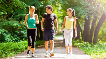 How to Choose the Right Dog Groomer in Canberra