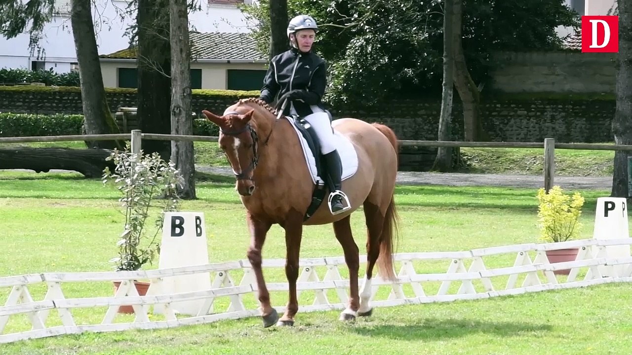 Concours de dressage au haras de Tarbes